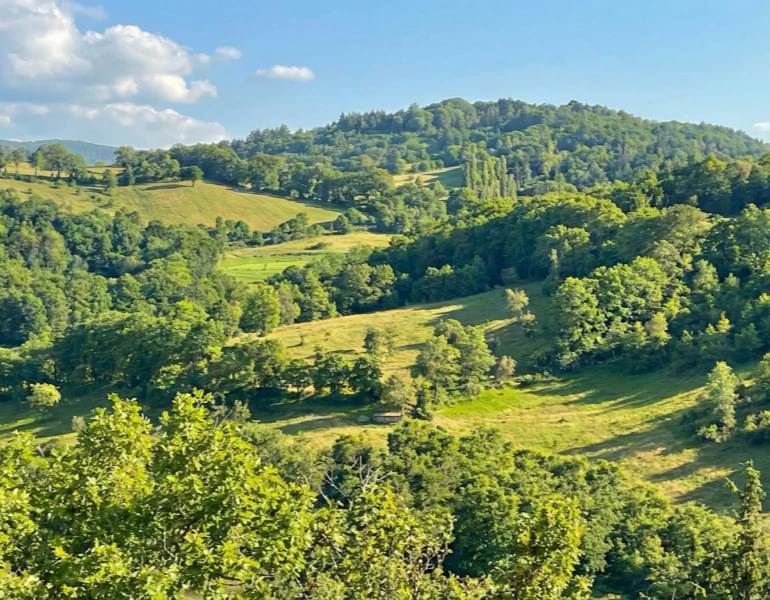 Green Garden Oksijen Kaz Dağları