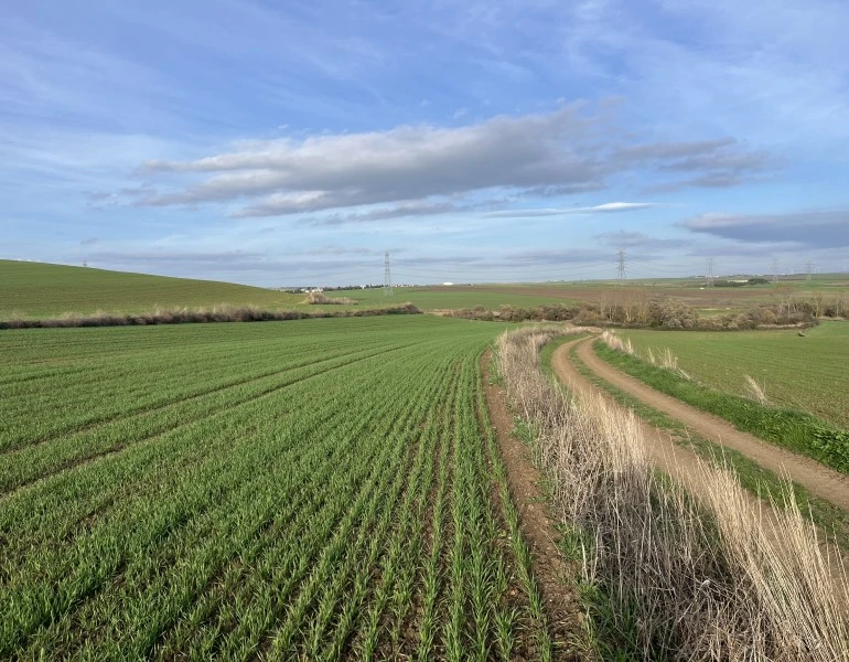 Green Garden Şahpaz